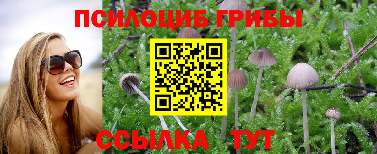 Псилоцибиновые грибы GOLDEN TEACHER Лиски